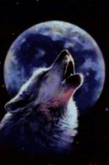 читать Там, где живут «ушедшие» волки