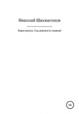 читать Перестрелка. Год девяносто первый