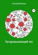 читать Зачаровывающий лес