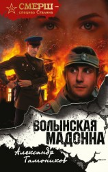 читать Волынская мадонна