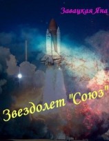 читать Звездолет «Союз»