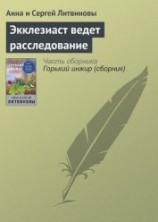 читать Экклезиаст ведет расследование