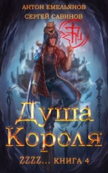 читать ZZZZZZZ: Душа короля. Книга 4