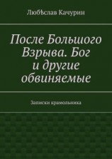 читать После Большого Взрыва. Бог и другие обвиняемые. Записки крамольника