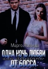 читать Одна ночь любви, или Беременна от босса