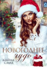 читать Новогоднее чудо