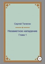 читать Незаметное нападение. Глава 1