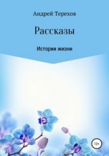 читать Расcказы. Истории жизни