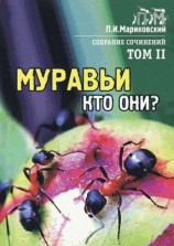 читать Муравьи, кто они?