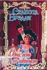 читать Одна ночь со шпионом