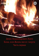 читать Кома, или Жизнь после смерти. Часть 1