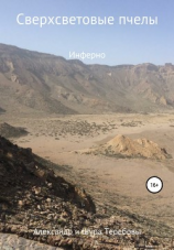 читать Сверхсветовые пчелы. Инферно