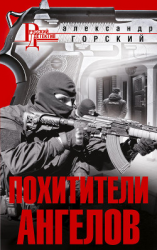 читать Похититель ангелов