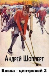 читать Вовка-центровой 2