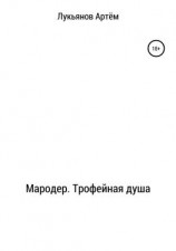 читать Мародер. Трофейная душа