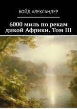 читать 6000 миль по рекам дикой Африки. Том III