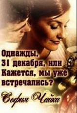 читать Однажды, 31 декабря, или Кажется, мы уже встречались?