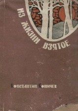 читать Из жизни взятое