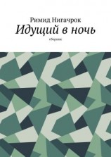 читать Идущий в ночь. Сборник