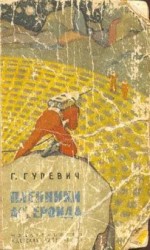 читать Функция Шорина