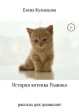 читать История котенка Рыжика