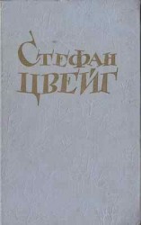 читать Фантастическая ночь