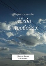 читать Небо в проводах. Книги детям о планете
