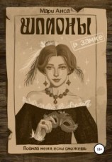 читать Шпионы в замке, или Поймай меня, если сможешь!