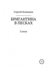 читать Бригантина в песках