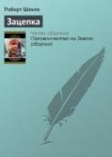 читать Зацепка