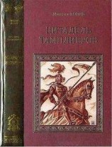 читать Рыцарь Бодуэн и его семья. Книга 2