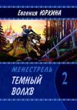 читать Темный Волхв. Менестрель. Книга 2
