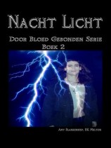 читать Nacht Licht