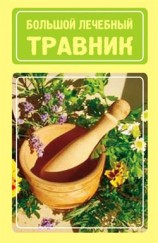 читать Большой лечебный травник