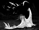 читать Небесная история