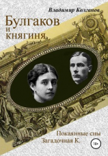 читать Булгаков и княгиня