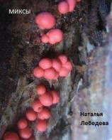 читать В ролях