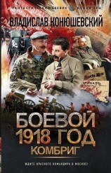 читать Боевой 1918 год. Комбриг