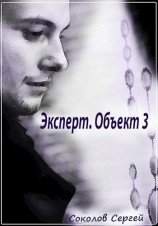 читать Эксперт. Объект 3. (Книга 1)