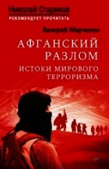 читать Афганский разлом. Истоки мирового терроризма