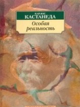 читать Особая реальность