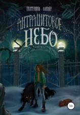 читать Антрацитовое небо