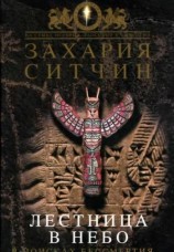 читать Лестница в небо. В поисках бессмертия