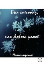 читать Был снегопад, или Дорога домой