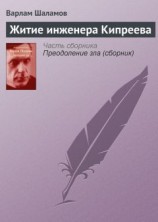 читать Житие инженера Кипреева