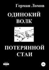 читать Одинокий волк потерянной стаи