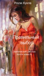 читать Правильный выбор