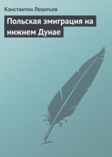 читать Польская эмиграция на нижнем Дунае