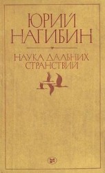 читать Дорожное происшествие