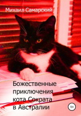 читать Божественные приключения кота Сократа в Австралии